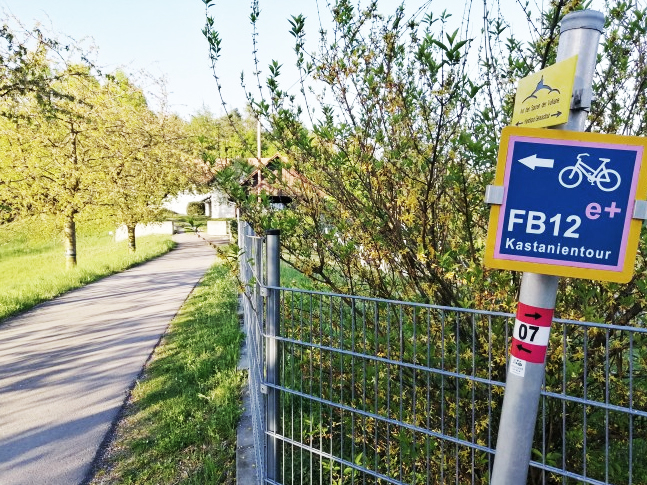 Die schönsten Radwege rund um Fehring